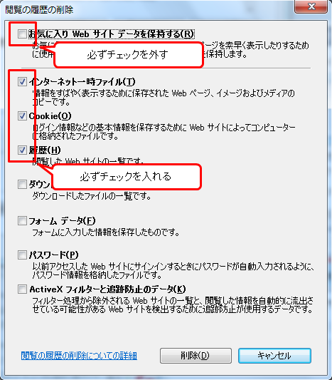ie_cache_clear